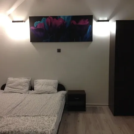 Monique Bed & Breakfast Wrzosowo (Kamien)